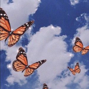 Meet your Posher, Keira